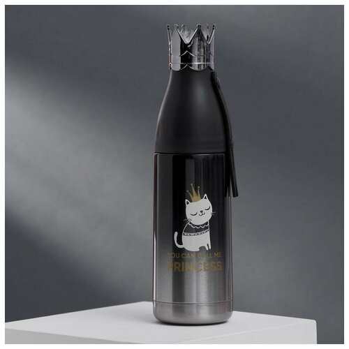 ������ Princess, 350 ��, ��������� ����� 12 � 1193�