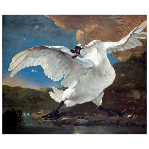      (Swan) 1   48. x 40.,  1680   