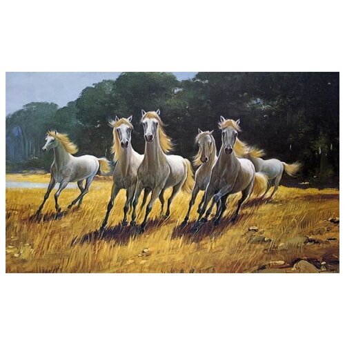     (Horses) 24 50. x 30. 1430