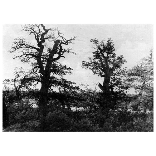     (Oaks)    56. x 40. 1870