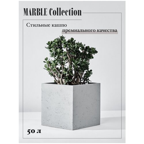  ,    Marble Collection  ,  13550