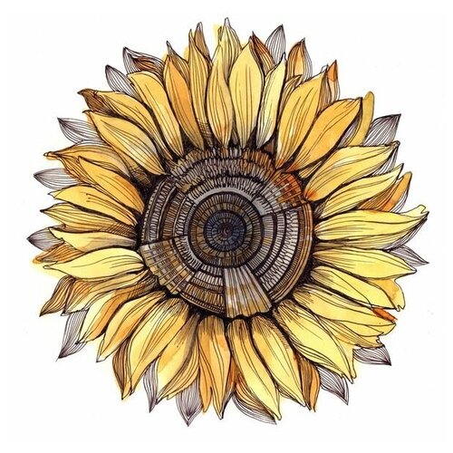     (Sunflowers) 1 51. x 50. 2030