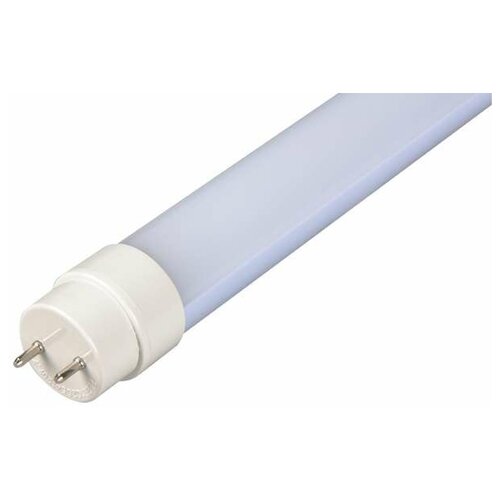 ����� ������������ PLED T8-600GL 10�� �������� 6500� �����. ���. G13 800�� 220-240� JazzWay 1025326 (4��.) 1176�