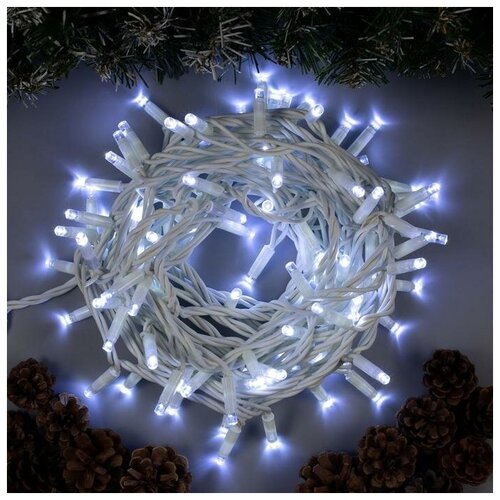   10  , IP65, ,  , 100 LED,  , 220  2877