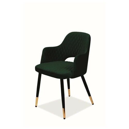 ���� SIGNAL FRANCO VELVET, ������ / ������� / ����� ������, ��. BL78 12200�