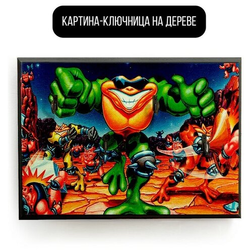    20x30   Battletoads - 1627  590