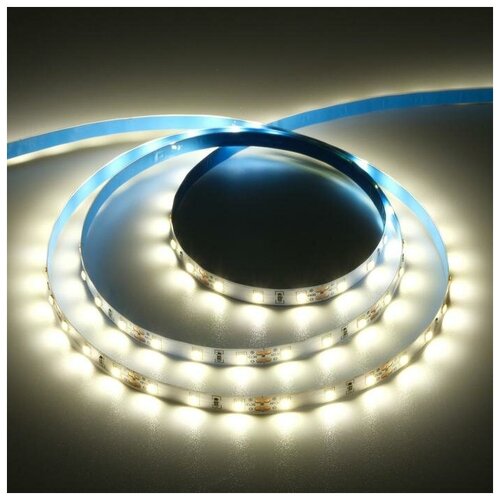    Ecola PRO 5 , IP20, SMD5060, 60 LED/, 11 /, 12 , 2800,  590  