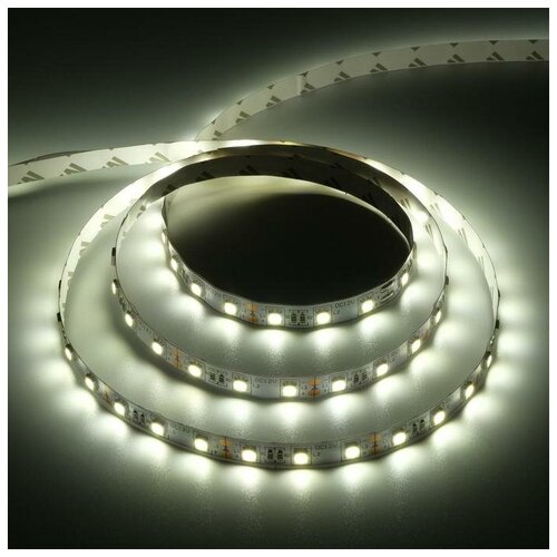   Ecola PRO, 12, SMD5050, 3 , IP20, 14.4/, 60 LED/, 4200 5501904 635