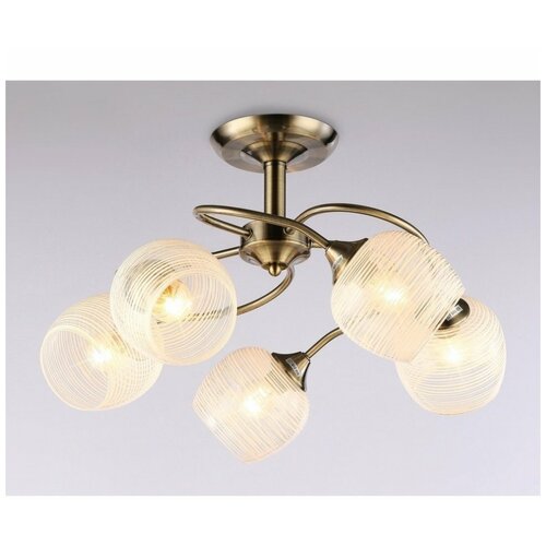   Traditional TR3199 Ambrella Light 8166