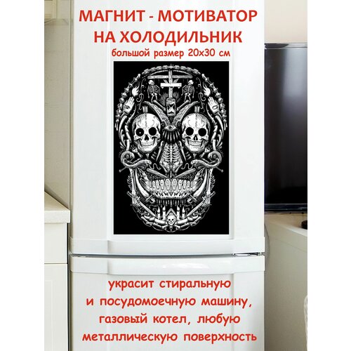 ����� ������ ������ �� ����������� 20 �� 30 �� 790�