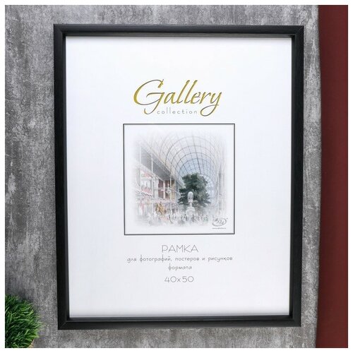   Gallery 4050 ,  ( ) 1019