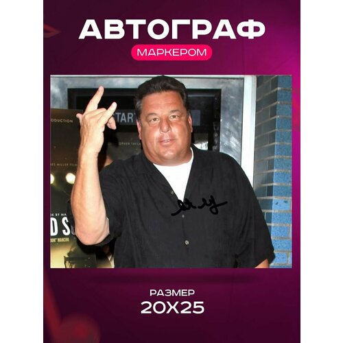     - Steve Schirripa The Sopranos -   , , ,  2025  849