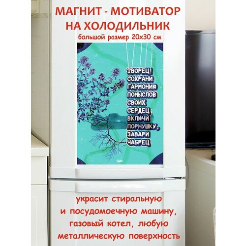 ������, ������� �������� �������� ����� ������ ��������� ������ ������ �� ����������� 20 �� 30 �� 790�