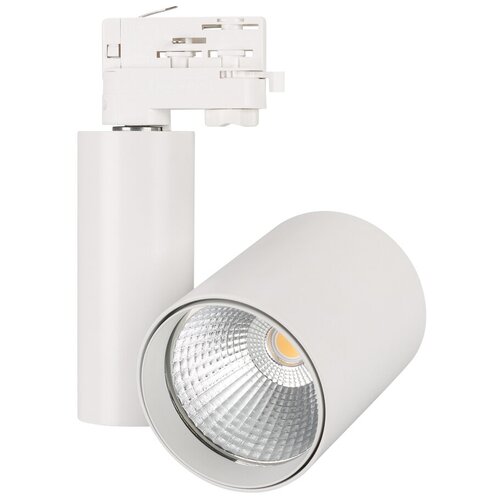  LGD-SHOP-4TR-R100-40W Warm SP3000-Fruit (WH, 24 deg) (Arlight, IP20 , 3 ) 4885