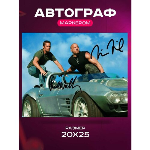        - Paul Walker & Vin Diesel Fast & Furious -  , , ,  2025  1062