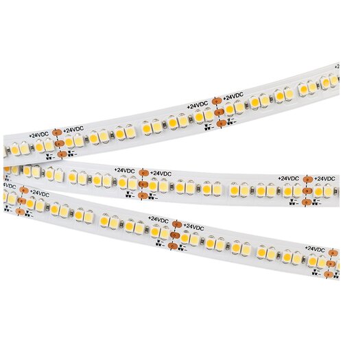  RT 6-5000 24V White-MIX 4x (3528, 240 LED/m, LUX) (arlight, 19.2 /, IP20) 5575