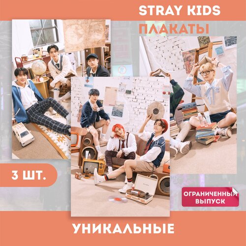  Stray Kids  ո 450