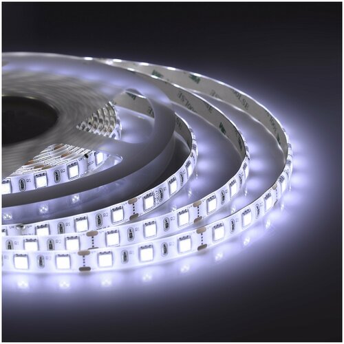      Apeyron 129      6500,     700 / /  24, 10/ /  smd3528, 120/ / IP20 /   5  /  1  1153