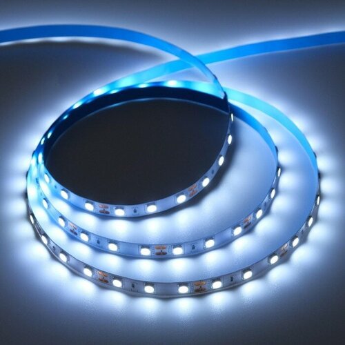   PRO 50 , IP20, SMD5050, 60 LED/, 14.4 /, 12 , 6000 5048