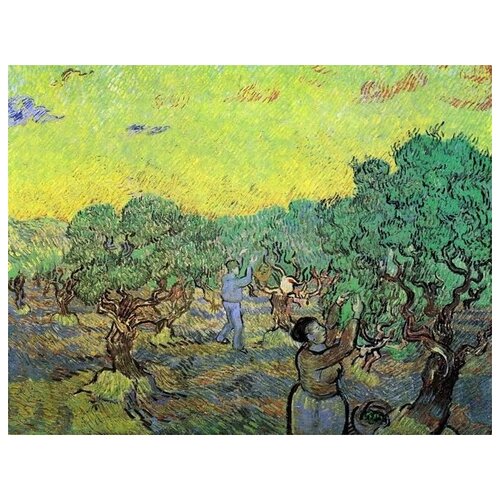         (Olive Grove with Picking Figures)    65. x 50. 2410