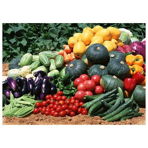      (Vegetables) 1 70. x 50.,  2540   