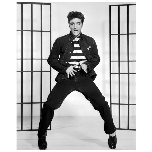      (Elvis Presley) 8 40. x 50. 1710