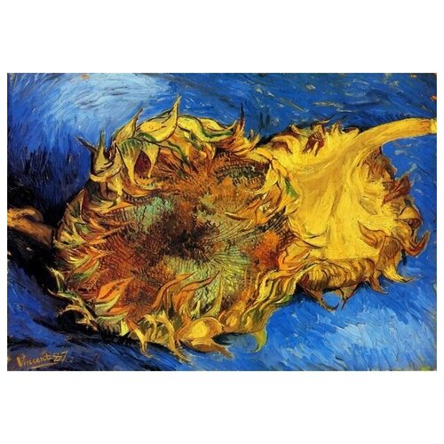       (Two Cut Sunflowers 3)    43. x 30. 1290