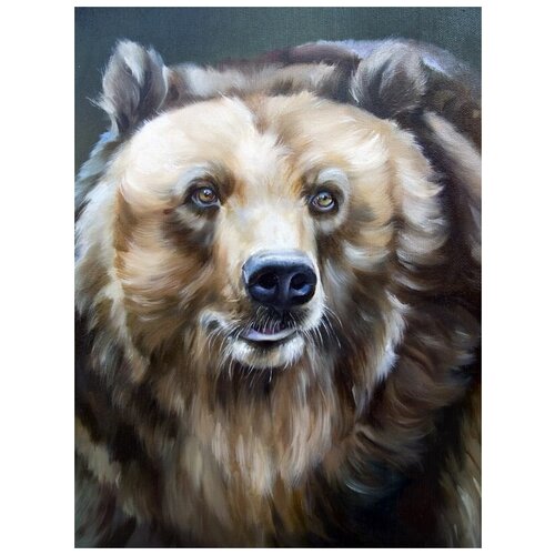     (Bear) 1 30. x 40. 1220