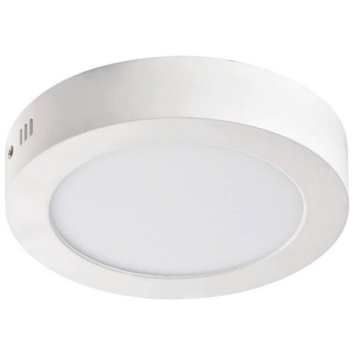  - Favourite Flashled 1347-12C 2300