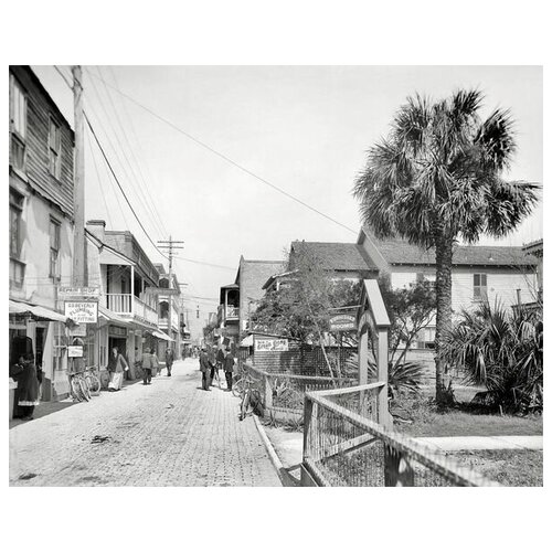       (Street in Florida) 38. x 30. 1200