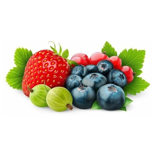     (Berries) 4 58. x 30. 1620