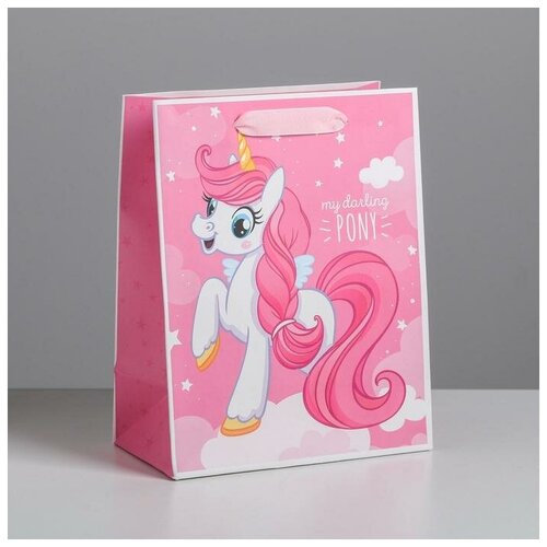     4725298 My darling pony, MS 18 ? 23 ? 10  173