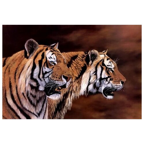     (Tigers) 2 44. x 30. 1330