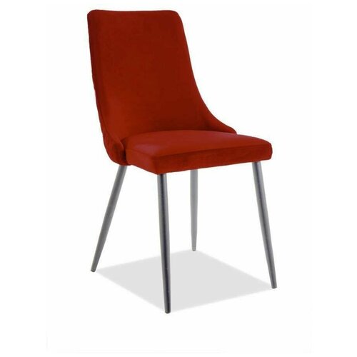 ���� SIGNAL PIANO B MATT VELVET, ������ 5270�
