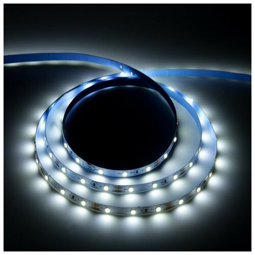   Uniel, 5 , LED/-60-SMD2835-12V, 4.8 /, Ip20,  9544310 558