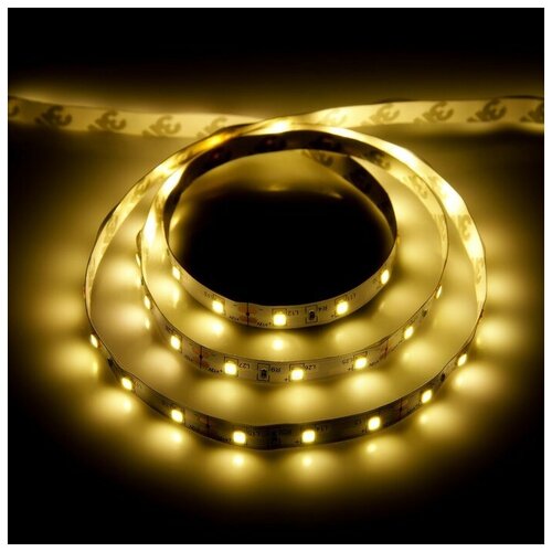    3 , IP20, SMD2835, 60 LED/, 12 , 3000 802