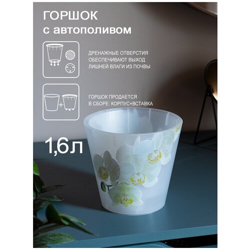    InGreen London Orchid Deco   D160  1,6     IG6196 . 587