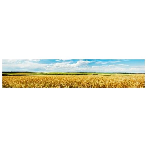      (Wheatfield) 1 300. x 60. 9960