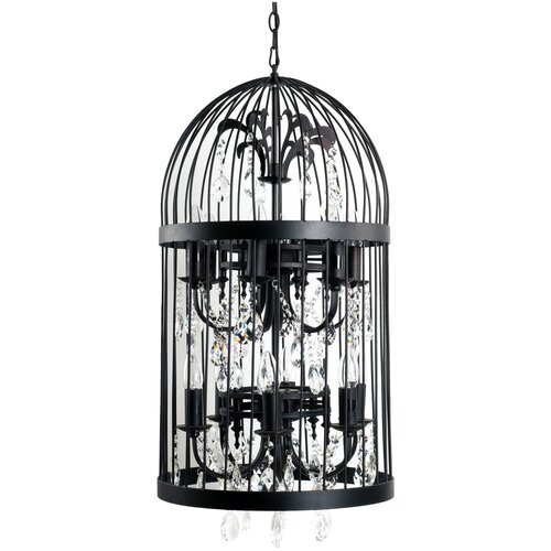  Birdcage D40 31710