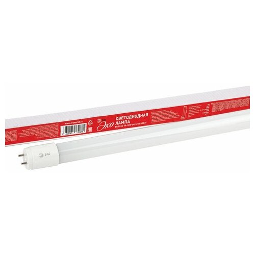 �����-������ ������������ ��� ���, 10 ��, 25000 �, 600 ��, ����������� �����, ECO LED T8-10W-840-G13-600mm 241�