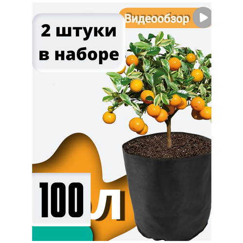     Bag Pot Eco 100 ,  2 ,    grow bag  , ,  1320