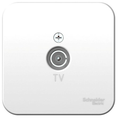   TV BLANCA, , . BLNTA000011 Schneider Electric,  299  Schneider Electric