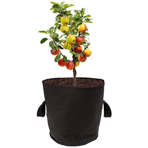     Bag Pot   15 ,  5 ,    grow bag  , ,  880