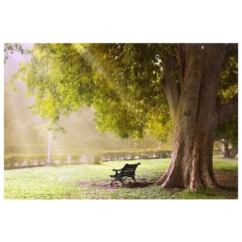     (Bench under a tree) 45. x 30. 1340