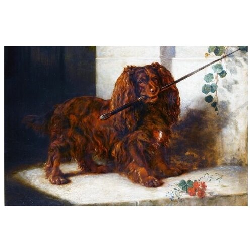      (Dog) 10 76. x 50.,  2700   