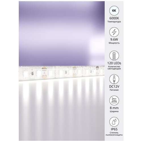   5  Maytoni Led Strip 10113 2100