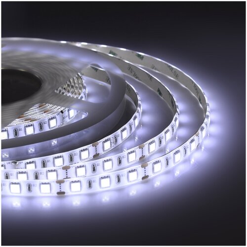    00-39-1   12,      6400K,     360 / / 30/ / 7,2/ / smd5050 / IP65 /  5 ,  10  1023