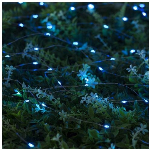   10  ,  , 100 LED,  , 2 ,   801