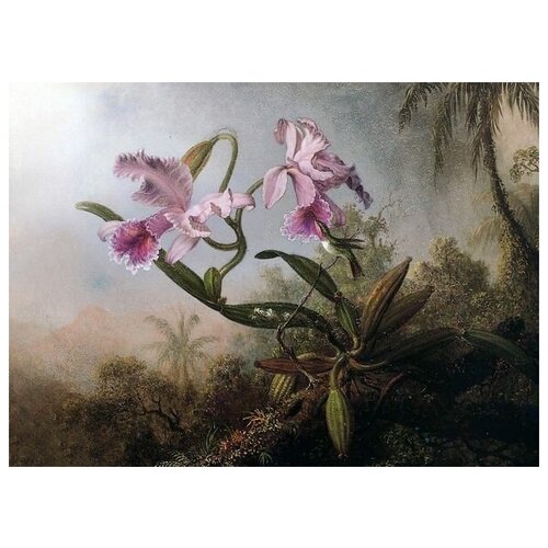       (Orchids and Hummingbird) 2    41. x 30. 1260