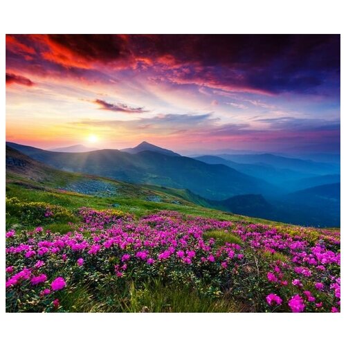         (Flowers in the mountains at sunset) 2 48. x 40. 1680